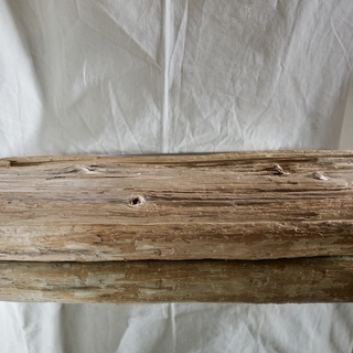 SEASIDEinterior★インテリアディスプレイに流木 25の画像