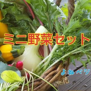 ミニ野菜セット【よねベジ】