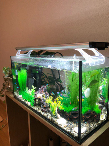 45cm水槽セット