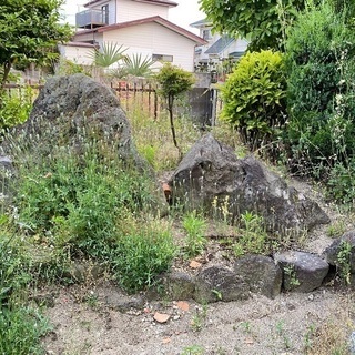 形のいい庭石差し上げます