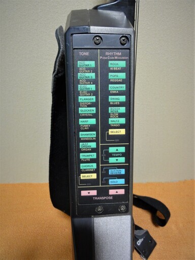 希少品　CASIO　デジタルギター　DG-20　DIGITAL GUITAR　動作品