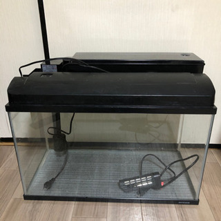 水槽60cm(2)