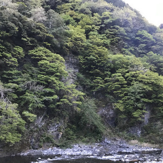 ブッシュクラフト系YouTubeメンバー - その他