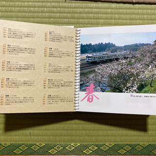 【限定品】日本国有鉄道　水戸鉄道管理局全駅入場券の画像