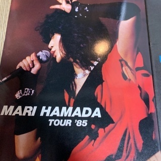 浜田麻里コンサートパンフレット中古の画像