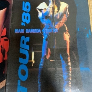 浜田麻里コンサートパンフレット中古の画像