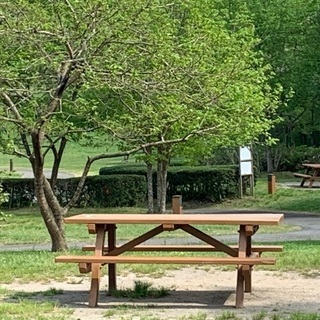 (仙台で一番安いBBQ‼️さらに仙台市公営施設だから安心😀)【6月14日(日)11時〜水の森公園】週末は超絶品BBQでお友達・パートナー作り‼️【女性限定‼️超絶品和牛、シーフード、焼そば等➕お酒をガッツリ飲んで、なんと、仙台BBQ史上最安値1,100円‼️】20,30,40代 - パーティー