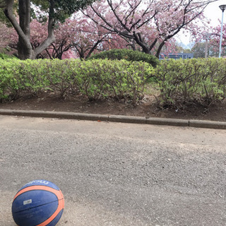体を鍛えるのが好きな人！！ - スポーツ