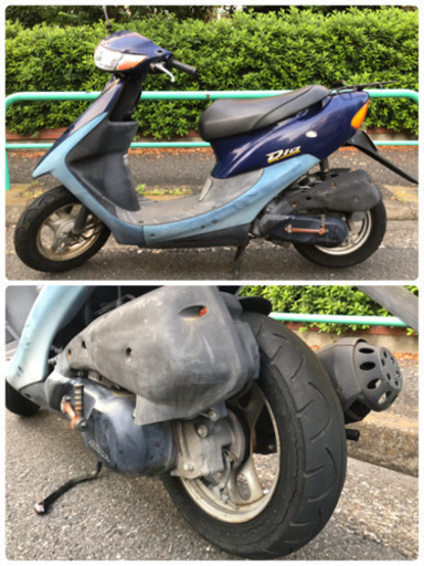 【良品】 原付 AF34 ホンダ ライブディオ 紺色 2st