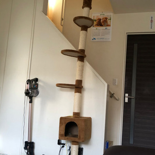 キャットタワー(お譲り先決定)の画像