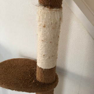 キャットタワー(お譲り先決定)の画像