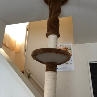 キャットタワー(お譲り先決定)の画像