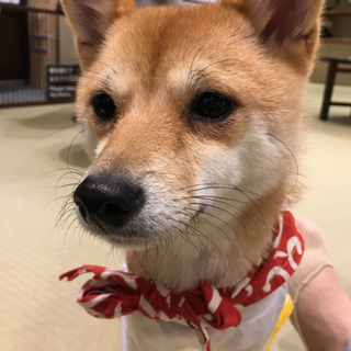 友達募集！