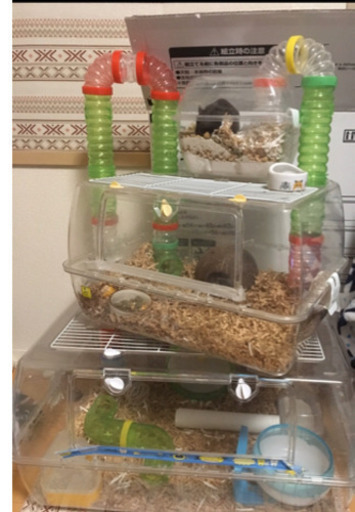 ハムスター 用品