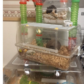 ハムスター 用品