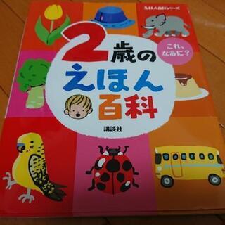 1歳、2歳のえほんセット☆ノンタン、だるまさんがの画像