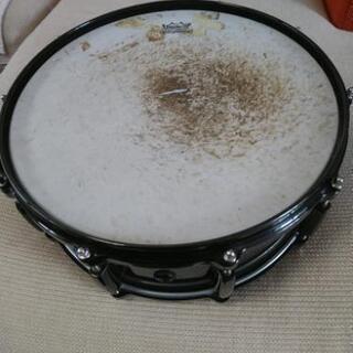Pearlスネアドラム　CARBONPLY MAPLE 14×5.5の画像