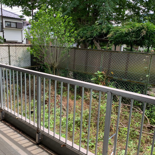 庭掃除　先着の方交渉中