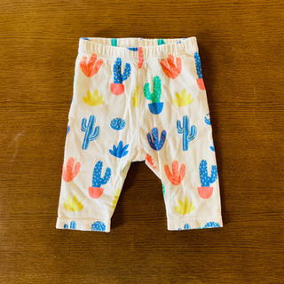 🌵カラフルなサボテンパンツ🌵の画像