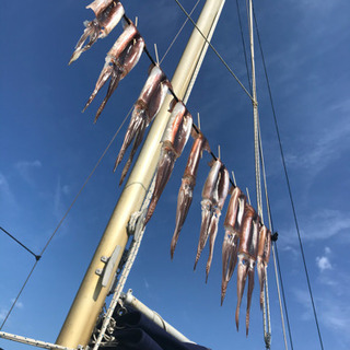 船釣り🎣専門　ターゲットは色々(^^) - その他