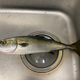 釣り仲間、趣味友募集