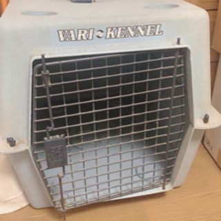 バリケンネル中古品　300  500 2025年最新】Yahoo!オークション -バリケンネルの中古品・新品