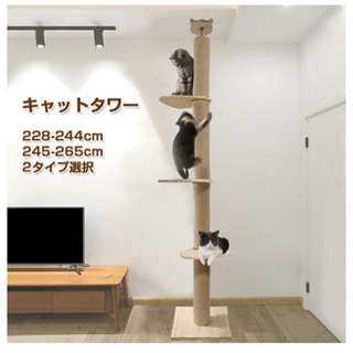 キャットタワーキャットツリー