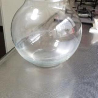 ガラスの鉢の画像
