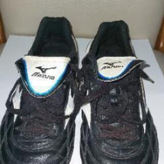 ミズノスパイク24㎝