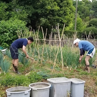 さつま芋畑作りをしたい方募集  田んぼ、畑、竹林、野草を一緒に楽しみながら作業出来るメンバーを募集！ - その他