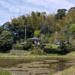 さつま芋畑作りをしたい方募集  田んぼ、畑、竹林、野草を一緒に楽...