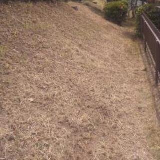 草刈り芝刈り雑草取り 承ります − 神奈川県