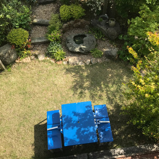 オープンガーデンとお花狩りの画像