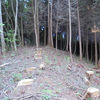 山林　湧水と沢あり　２８，４７７㎡　８，６１４坪 - 不動産