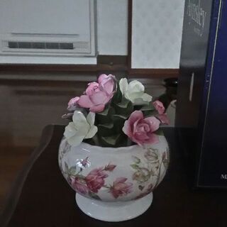 Aynsley 花