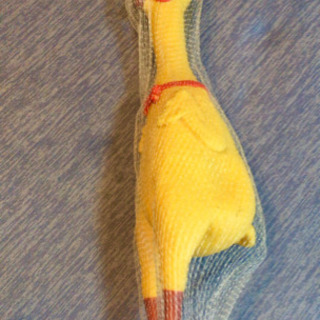 断末魔のような音を出す鳥のおもちゃ