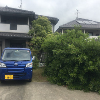 庭の草むしり、草取りの画像