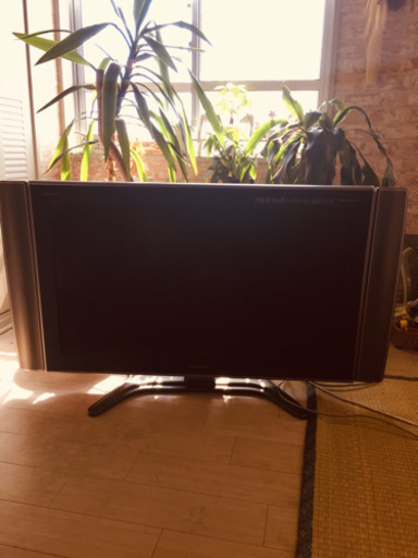 テレビ50インチ