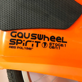COUSWhee L SPiriT コースホイールスピリット
