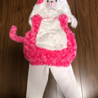 ハロウィンコスチューム　ねこ　コストコ