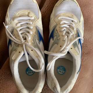 バレーシューズ　バレーボールシューズ　25.5の画像