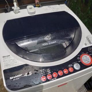 洗濯機　中古作動の画像
