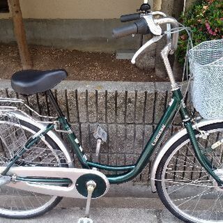 24インチ・内装3段変速・LEDオートライト