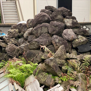 軽石　火山岩　盆栽などに！