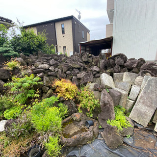 軽石　火山岩　盆栽などに！の画像