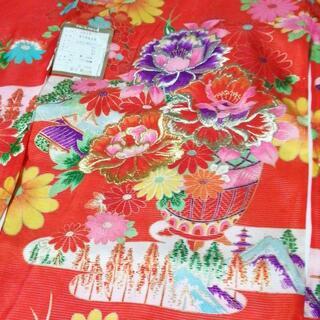 希少☆未使用☆夏物 絽 お宮参り 女の子 産着 正絹の画像