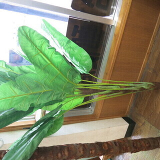 人工観葉植物です
