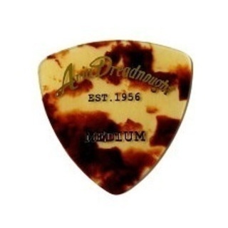 無料　エレキギター(ストラトタイプ)　ソフトケース　クリップチューナー　ピック　差し上げますの画像