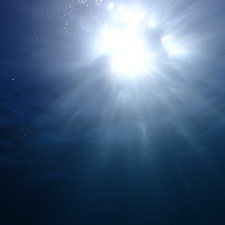ダイビング仲間大募集🐬 - メンバー募集