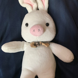 美男ですね　ブタウサギ